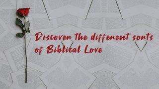 Discover the Different Sorts of Biblical Love 1 Thessalonians 4:9-12 King James Version