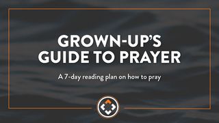 Grown Up's Guide to Prayer Luke 18:34 World English Bible, American English Edition, without Strong's Numbers