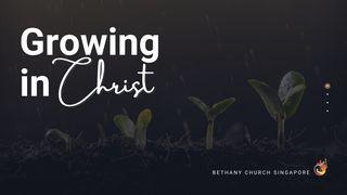 Growing in Christ  Philippians 2:12-13 New Living Translation