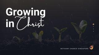 Growing in Christ  John 15:3-5 New Living Translation