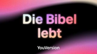 Die Bibel lebt Hebräer 4:12 Hoffnung für alle