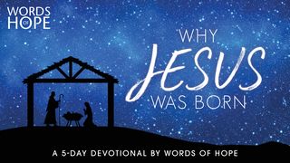 Why Jesus Was Born Mark 1:3 King James Version