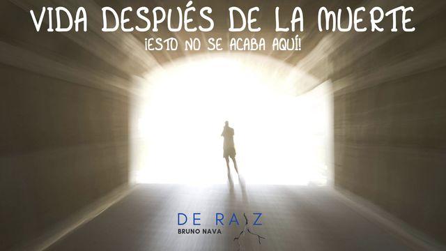 Vida Después De La Muerte 