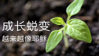 成长蜕变：越来越像耶稣 路加福音 8:13 中文标准译本