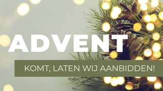 Advent - Komt, Laten Wij Aanbidden! Matteüs 2:8 BasisBijbel