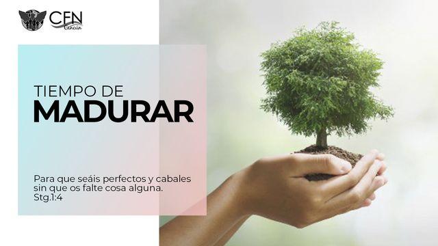 Tiempo De Madurar