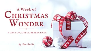 A Week of Christmas Wonder Isaiah 43:16-21 The Message
