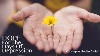 Hope for Days of Depression Psalms 13:2 The Passion Translation
