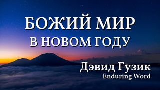 божий мир в новом году От Иоанна 16:33 Новый русский перевод