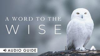 A Word to the Wise Galatians 1:10 New International Version