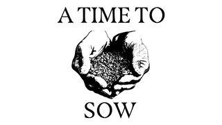 A Time to Sow: Part 2 Matthew 13:41 The Passion Translation