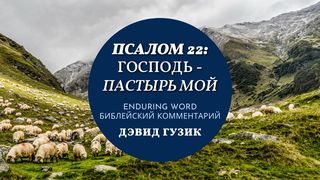 Псалом 22. Господь – Пастырь мой От Иоанна 14:3 Новый русский перевод