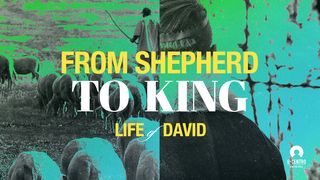 [Life of David] From Shepherd to King   Psalms 78:65-72 The Message