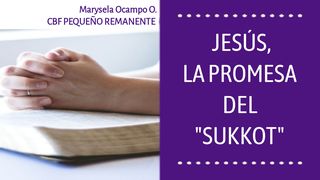 Jesús, La Promesa Del "Sukkot" Salmos 91:1 Reina Valera Contemporánea