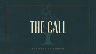 Exodus: The Call Exodus 1:8-10, 11-14, 15-18 The Message