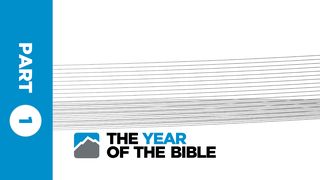 Year of the Bible: Part One of Twelve  The Books of the Bible NT