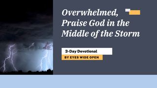 Overwhelmed, Praise God in the Middle of the Storm Colosenses 3:23 Biblia Reina Valera 1960