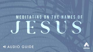 Meditating on the Names of Jesus John 1:29 The Passion Translation