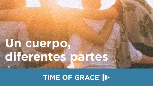 Un cuerpo, diferentes partes
