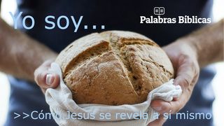 "Yo Soy": Cómo Jesús Se Revela a Sí Mismo Juan 10:12 La Biblia de las Américas
