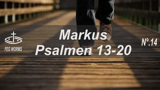 Durch die Bibel lesen - Markus & Psalmen 13-20 Psalmen 16:8 Die Bibel (Schlachter 2000)