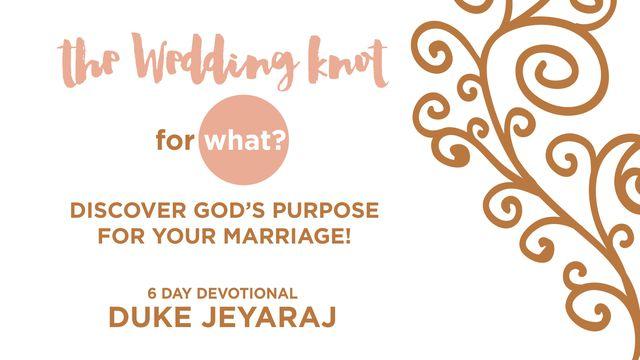 The Wedding Knot - For What?