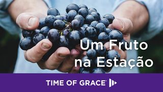 Um Fruto na Estação 2Timóteo 2:13 Bíblia Sagrada, Nova Versão Transformadora