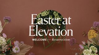 Welcome Resurrection Luke 19:36 New International Version