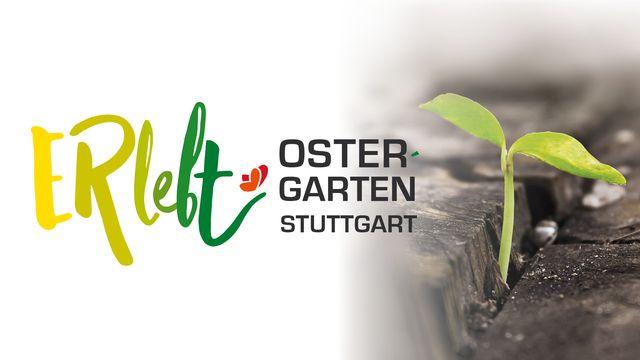 ERlebt - über den Tod hinaus