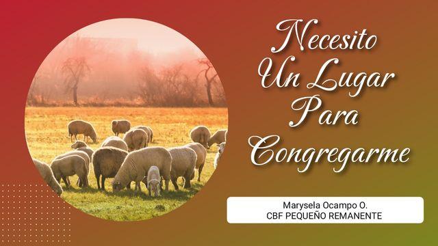 Necesito un lugar para congregarme