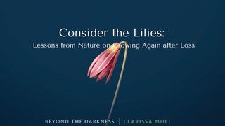 Consider the Lilies: Lessons From Nature on Growing Again After Loss Psalms 37:25-26 The Message
