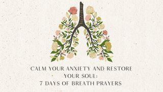 Calm Your Anxiety and Restore Your Soul: 7 Days of Breath Prayers Psalm 107:29 English Standard Version 2016