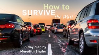 How to Survive the Wait Isaiah 40:3 Amplified Bible