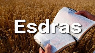Esdras en 10 Versículos Esdras 4:21 Nueva Traducción Viviente