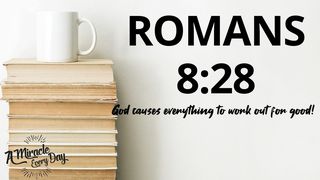 Romans 8:28  Ephesians 3:12 New American Standard Bible - NASB 1995