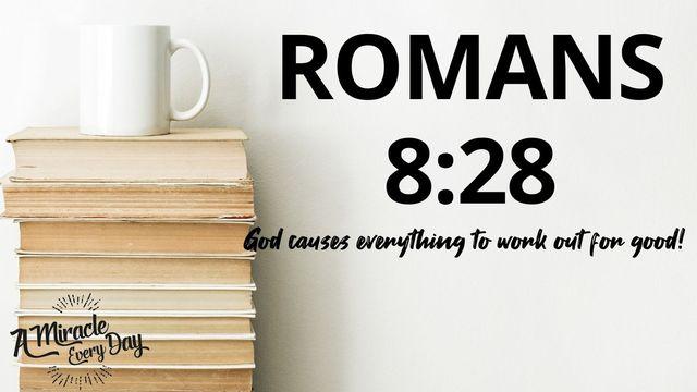 Romans 8:28 