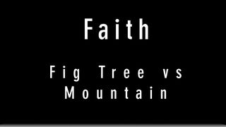Faith: Fig Tree vs Mountain Matthew 21:31-32 The Message