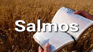Salmos en 10 Versículos Salmos 103:10-11 La Biblia: La Palabra de Dios para todos