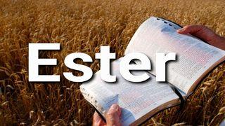 Ester en 10 Versículos Ester 4:16 Biblia Reina Valera 1960