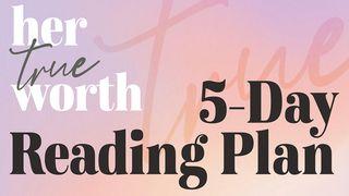 Her True Worth: A 5-Day Plan Luke 12:7 Amplified Bible, Classic Edition