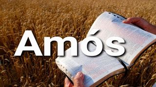 Amós en 10 Versículos AMÓS 3:7 La Biblia Hispanoamericana (Traducción Interconfesional, versión hispanoamericana)