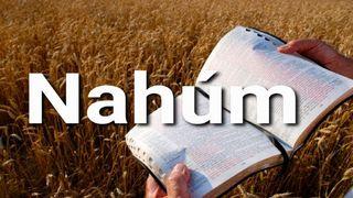 Nahúm en 10 Versículos Nahum 3:19 Holman Christian Standard Bible