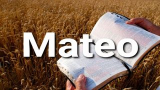 Mateo en 10 Versículos Mateo 1:18 Nueva Traducción Viviente