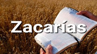 Zacarías en 10 Versículos Zacarías 12:10-14 Nueva Versión Internacional - Español