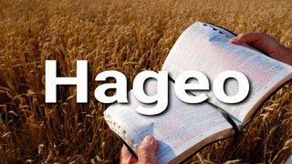Hageo en 10 Versículos Haggai 1:8-9 New American Bible, revised edition