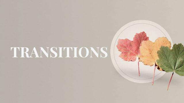 Transitions: Reflecting on John 14:1-21