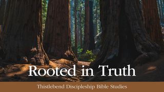 Rooted in Truth: A Devotion in the Ten Commandments Deuteronomy 5:8-10 The Message