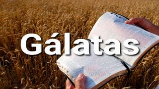 Gálatas en 10 Versículos Gálatas 5:6 Reina Valera Contemporánea