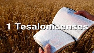 1 Tesalonicenses en 10 Versículos 1 Tesalonicenses 4:16-18 Nueva Versión Internacional - Español
