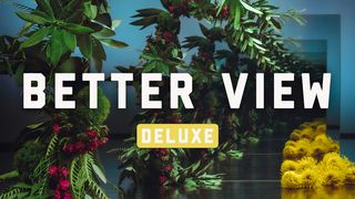 Better View Deluxe  Genesis 1:3-5 The Message